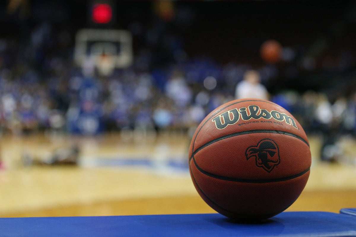 Wilson NBA Basketbal