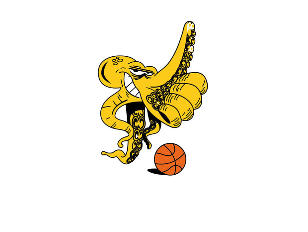 octopus_basketbal-01