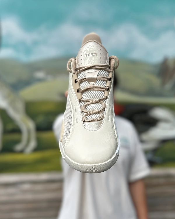 361 Degrees Team Joker Champion Chaussure de basketball Beige