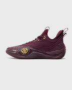 361 Degrees AG Zen VI Premium Basketball Shoe Wine – Burned