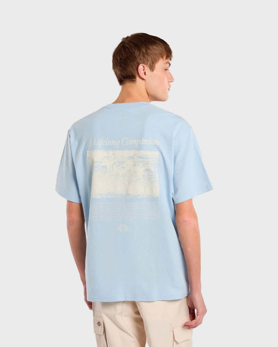Dickies Companion Script T-shirt Lichtblauw
