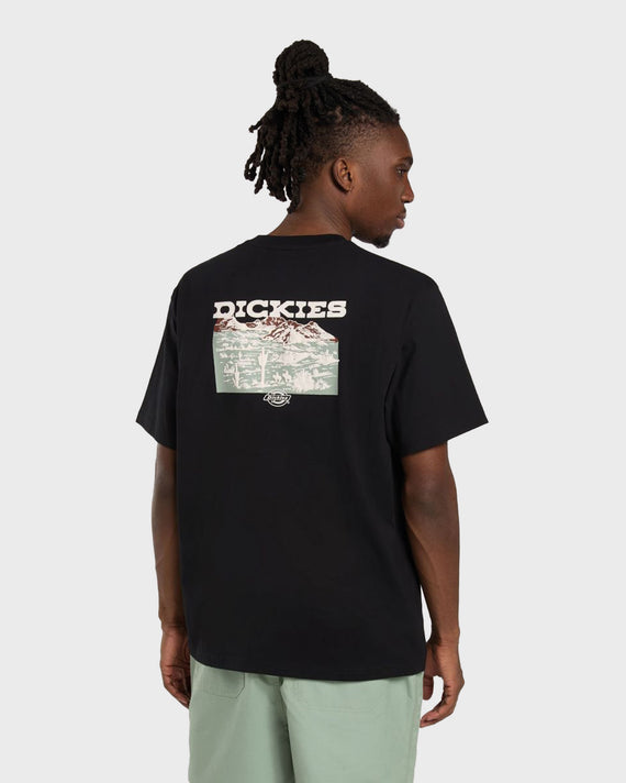 Dickies Landscape T-shirt Zwart