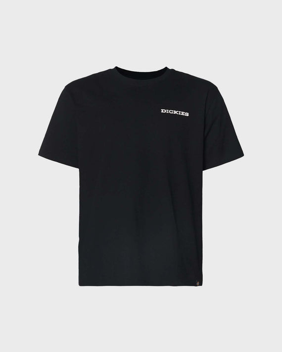 Dickies Landscape T-shirt Zwart
