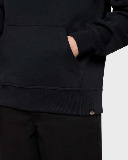 Dickies Panther Hoodie Zwart