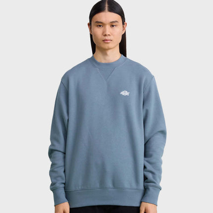 Collection image for: Dickies Hoodie