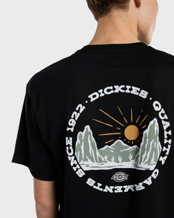 Dickies Outdoor T-shirt Zwart