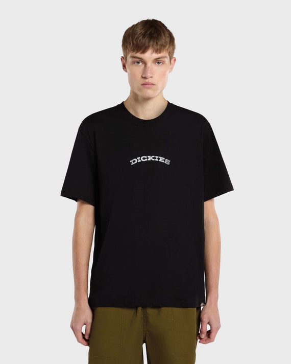 Dickies Outdoor T-shirt Zwart