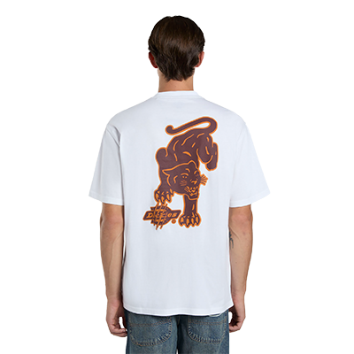 Dickies Graysville T-shirt Wit