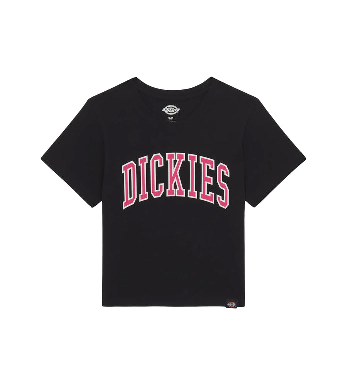 Dickies Aitkin Crop T-Shirt Black