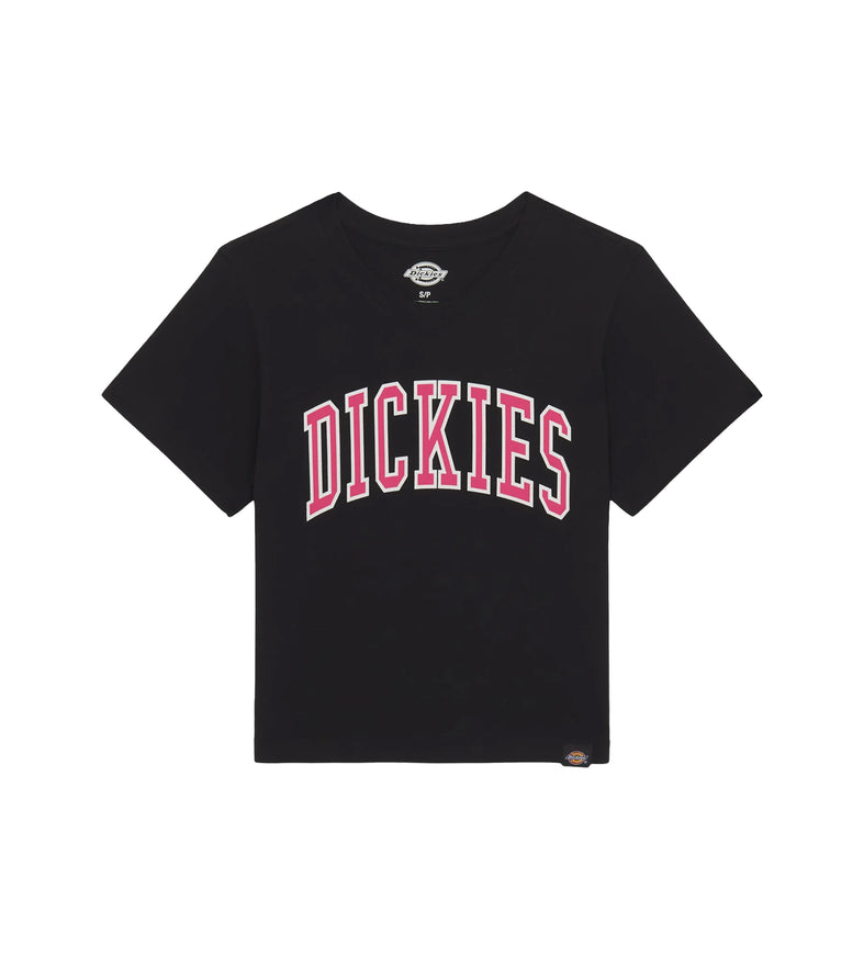 Dickies Aitkin Crop T-Shirt Black
