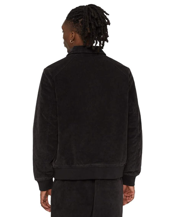 Dickies Chase City Jas