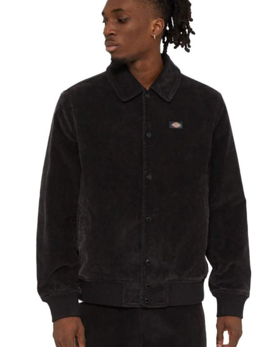 Dickies Chase City Jas