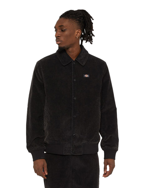 Dickies Chase City Jas