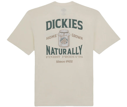 Dickies Elliston T-shirt wit