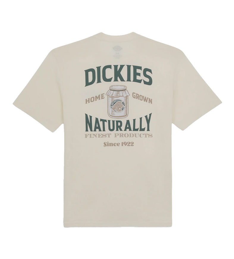 Dickies Elliston T-shirt wit