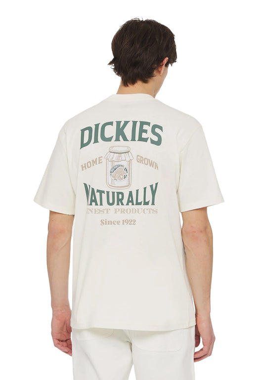 Dickies Elliston T-shirt wit