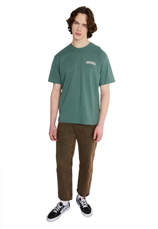 Dickies Elliston T-shirt Groen