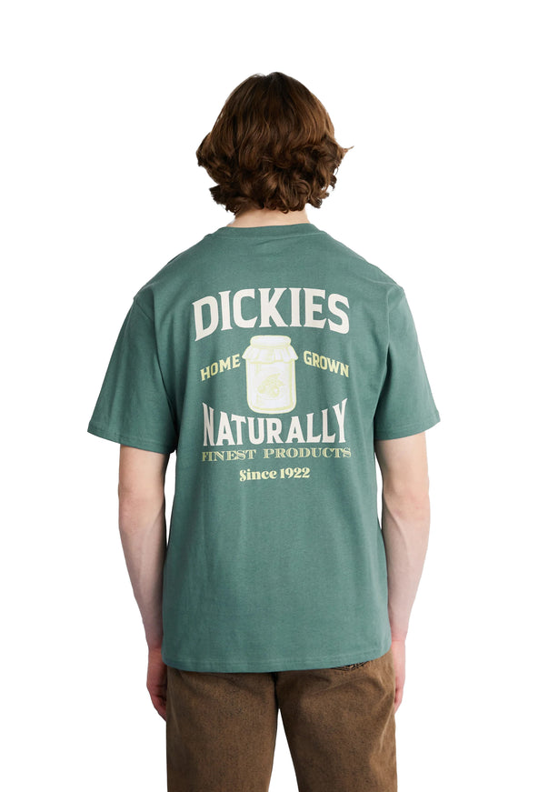 Dickies Elliston T-shirt Groen