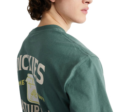 Dickies Elliston T-shirt Groen