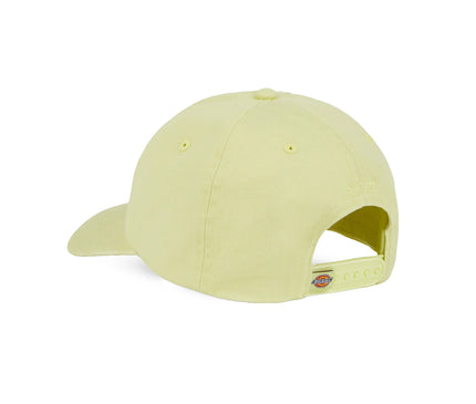 Dickies Hardwick 6-Panel Baseballpet Info licht groen