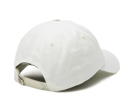 Dickies Hardwick 6-Panel Baseballpet Info Wit