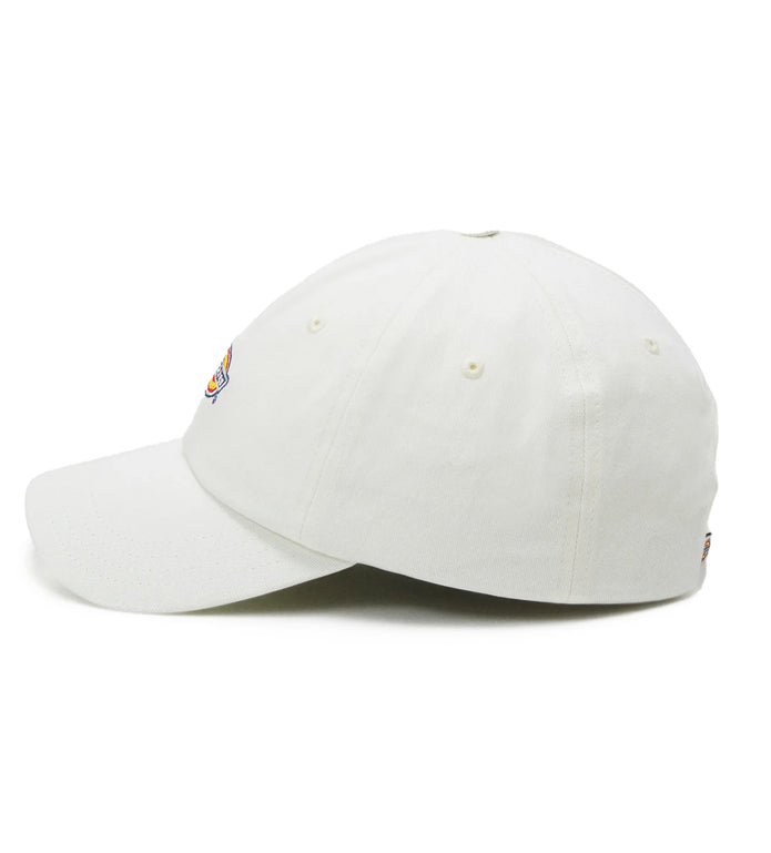 Dickies Hardwick 6-Panel Baseballpet Info Wit