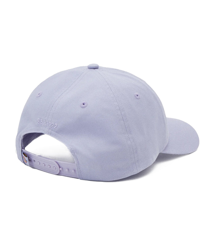 Dickies Hardwick 6-Panel Baseballpet Info Lila