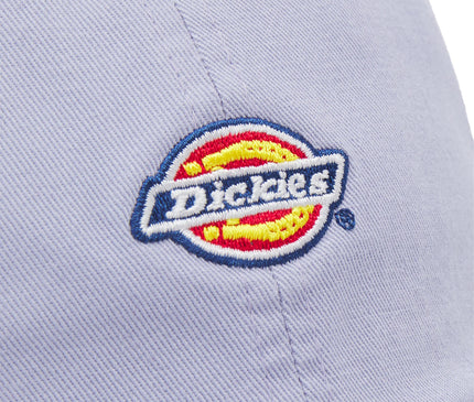 Dickies Hardwick 6-Panel Baseballpet Info Lila