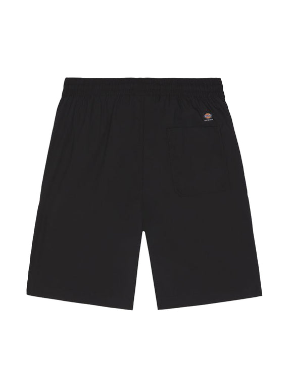 Dickies Jackson Cargo Short