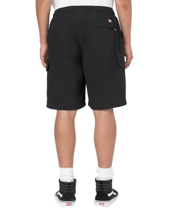 Dickies Jackson Cargo Short