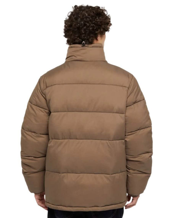 Dickies_Waldenburg_Pufferjas_Bruin_Achterkant_Model