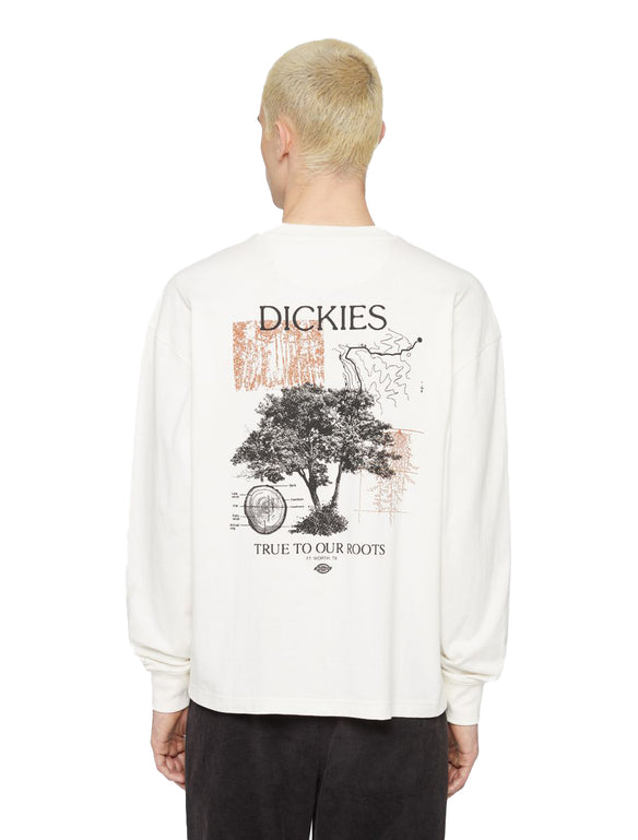 Dickies Kenbridge shirt met lange mouwen wit