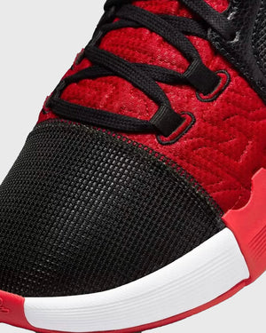LeBron James LeBron Witness VIII Black White Red