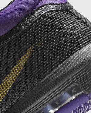 Lebron Witness VIII LA Black