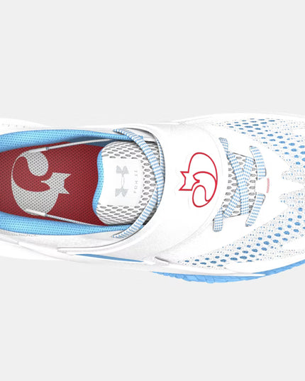 Under Armour Curry D. Fox 2 Basketbalschoen 'Blue Flame'