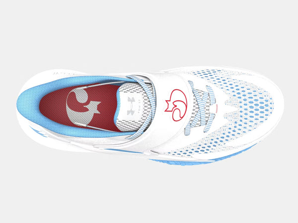 Under Armour Curry D. Fox 2 Basketbalschoen 'Blue Flame'