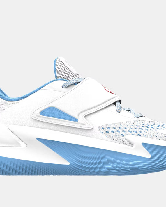 Under Armour Curry D. Fox 2 Basketbalschoen 'Blue Flame'