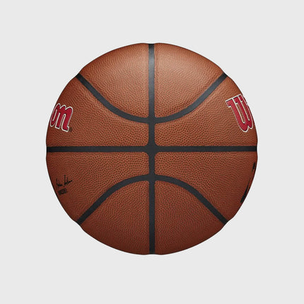 Wilson NBA Toronto Raptors Composite In/Outdoor Basketbal (7)