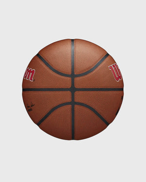 Wilson NBA Toronto Raptors Composite In/Outdoor Basketbal (7)