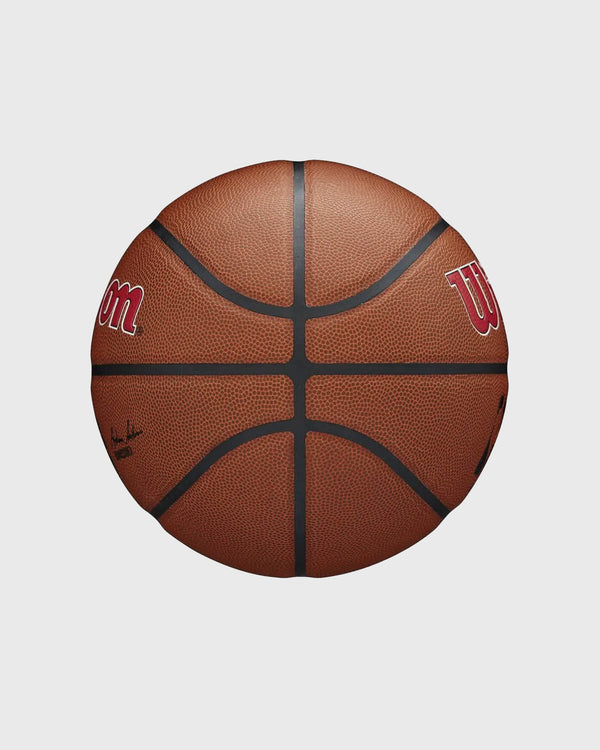 Wilson NBA Toronto Raptors Composite In/Outdoor Basketbal (7)