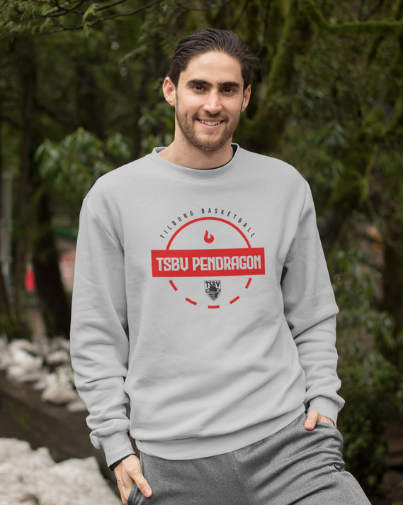 TSBV Pendragon Court Crewneck Grijs