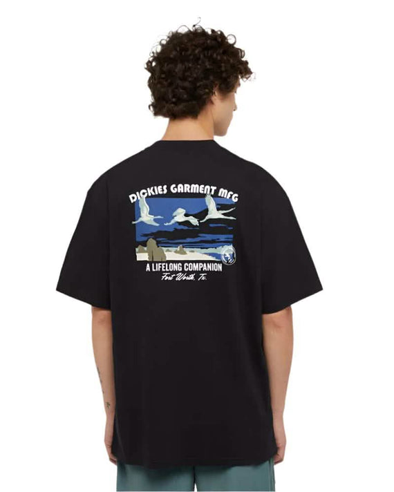 dickies companion tee ss black van de achterkant op model