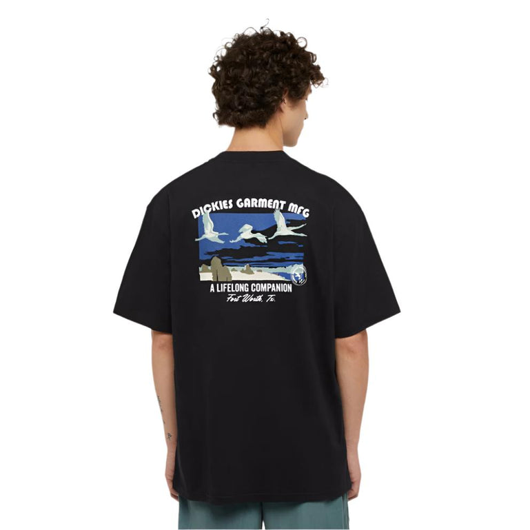 dickies companion tee ss black van de achterkant op model