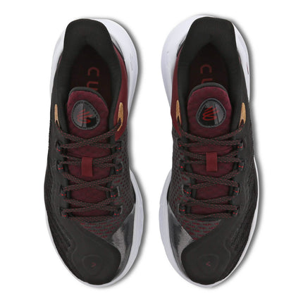 Curry 11 Domaine Curry 