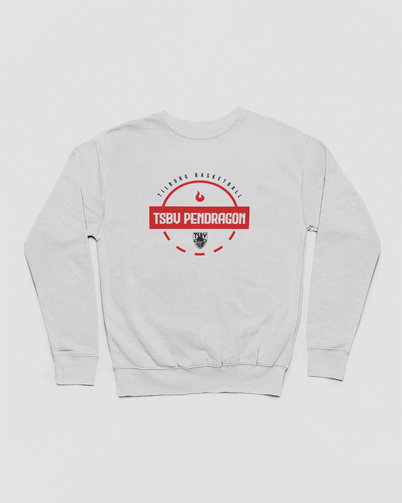 TSBV Pendragon Court Crewneck Grijs