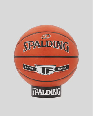 Spalding  Silver In/Outdoor Basketball (7)