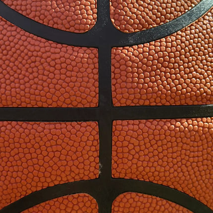 TF Gold Series All Surface Indoor & Outdoor Basketball