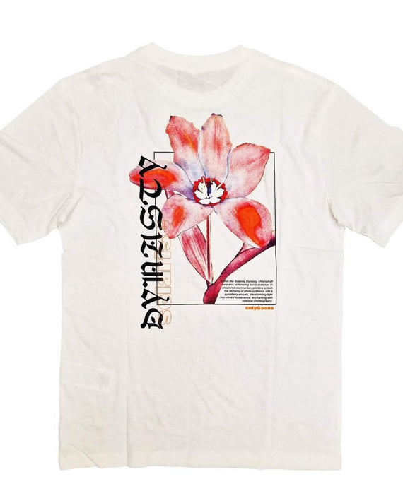 Only&Sons-Keane- Relaxed- t-Shirt-Cloud Dancer-acherkant