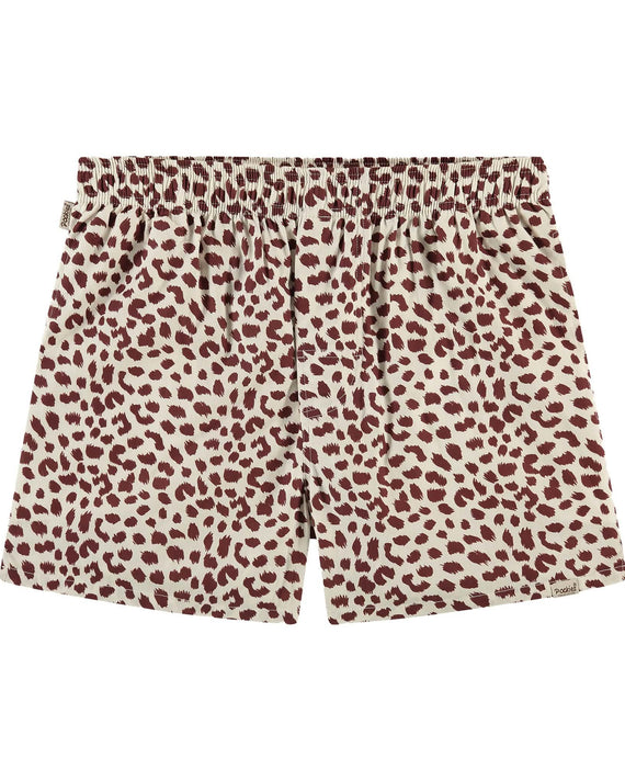 Burgundy Spots Boxer