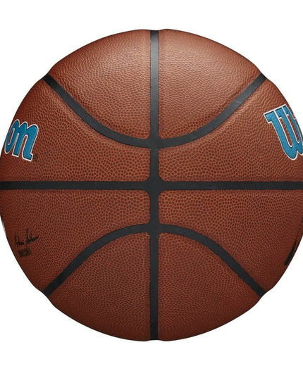 Wilson NBA CHARLOTTE HORNETS Composite Indoor / Outdoor Basketbal (7)